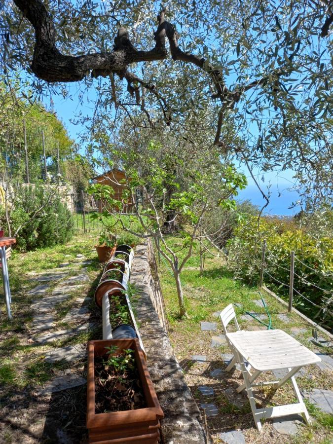 Апартаменты La Casa Di Elda Санремо Экстерьер фото